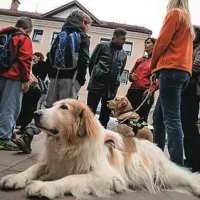 Pomagali bodo socialno ogroženim &scaron;olarjem