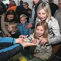 Iz &scaron;otorov ne odidejo praznih rok