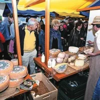 Iz &scaron;otorov ne odidejo praznih rok
