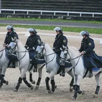 Konjeniki Postaje konjeniške policije