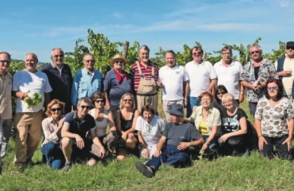 Trgatev koprskih lionistov