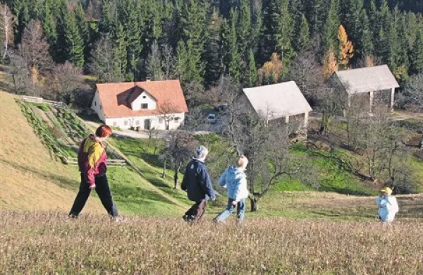 Kmetijski objekti bodo obdavčeni s stopnjo 0,3, njive s stopnjo 0,15, gozdovi pa s stopnjo 0,07 odstotka vrednosti