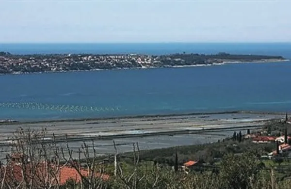Hrvaški ribič je v sredo približno tri navtične milje stran od Savudrije v mrežo ujel letalsko protiladijsko mino iz druge svetovne vojne 