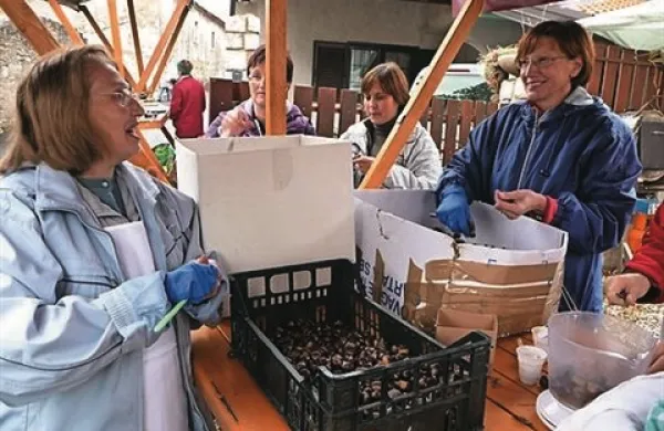 Utrinek z lanskega praznika kostanjev v Rodiku