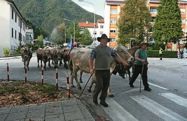 Tri desetletja Kmečkega praznika