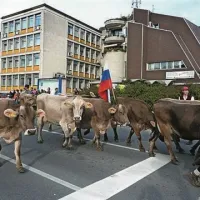 Tri desetletja Kmečkega praznika