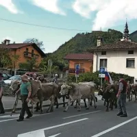 Tri desetletja Kmečkega praznika