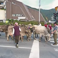 Tri desetletja Kmečkega praznika