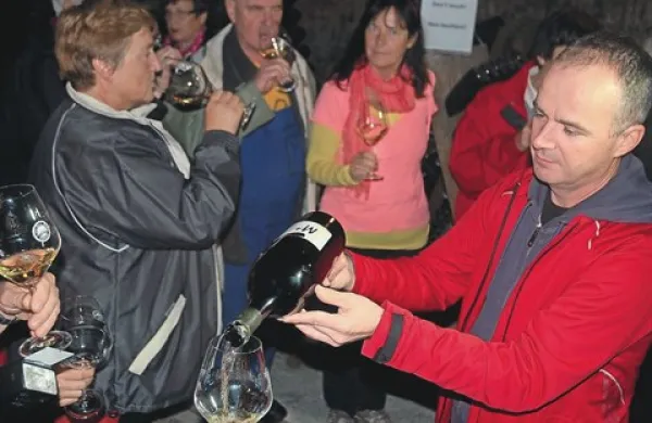 Darinko Ribolica (na sliki v ospredju desno) in Igor Skubin sta raziskovala, kako bi postopek priredili za rebulo