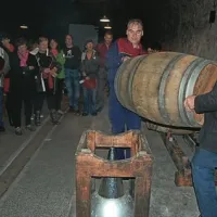 Vino, kot so ga delali nonoti