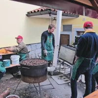  Kostanjarji v Rodiku so včeraj razrezali, spekli in prodali približno 500 kilogramov kostanja