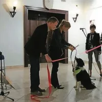 Psi terapevti na razstavi