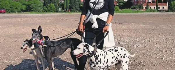 Irena Dolinšek s hrticama Sally in Zoyo ter dalmatinko Ajšo