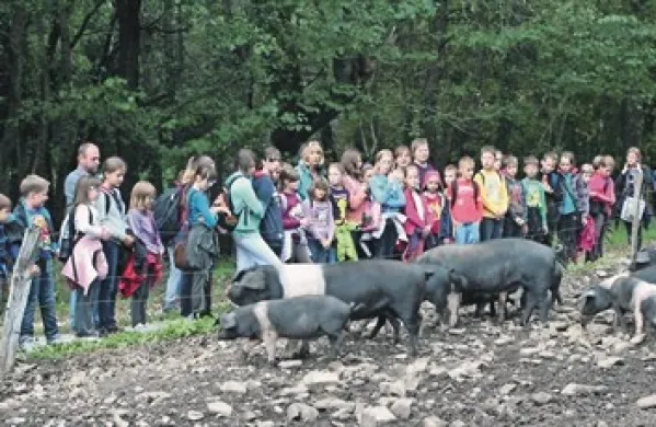 Tudi to, kako se počutijo živali v reji, je pri pridelavi hrane pomembno