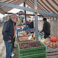 Poleg tartufov je festival ponudil bogato  tržnico jesenskih pridelkov