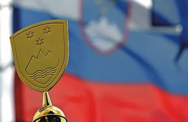 Strategija razvoja lokalne samouprave naj bi bila za obravnavo na vladi pripravljena najpozneje do sredine marca prihodnje leto