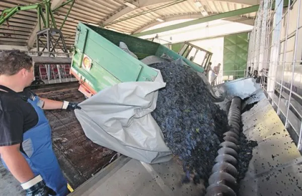 V Agroindu so do avgusta porabili za  slabih 3000 evrov vode, z dajatvami pa bi morali plačati kar 23-krat več
