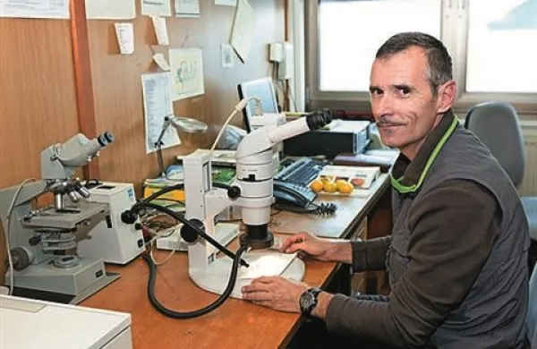 Matjaž Jančar, specialist za varstvo rastlin pri KGZ Nova Gorica