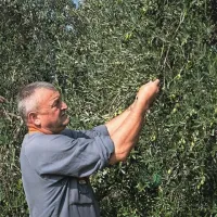 Egidio Žiber