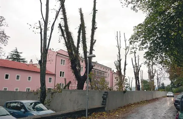 Namesto bogatih krošenj od zadnjega vikenda park sežanskega hotela Triglav krasijo le štrclji platan, javorjev in kostanjev, okrog dvorišča pa je zrasel visok betonski zid