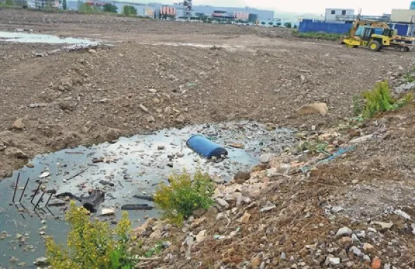 Kaj vse je v Toncityjevi zemlji?