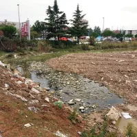 Kaj vse je v Toncityjevi zemlji?