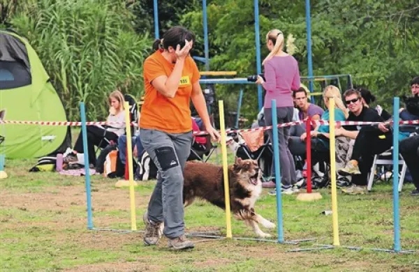 V agilityju se je pomerilo kar 217 tekmovalnih parov