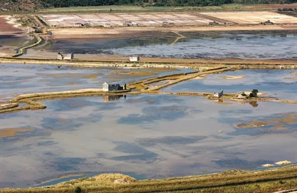 Sečoveljske soline so izjemna dediščina, ki bi lahko Piran popeljala v Unesco 