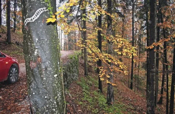 Bela proga, ki jo je poznavalec feldbana zarisal na bukev ob godoviški francoski cesti proti Ključem, sedaj edina napoti na dobro viden nasip železniškega tira