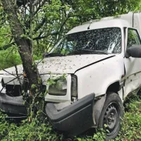 Med begom pred policisti je Trampuž z avtom zapeljal v grmičevje, nato pa peš zbežal med goščavo