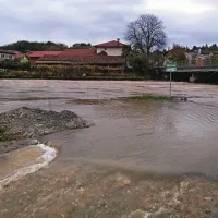Zalošče