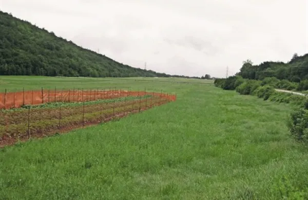 Čudovito Vrhpoljsko polje v Občini Hrpelje-Kozina bodo  za traso plinovoda med Ajdovščino in Lucijo nekega dne  razorali stroji in za seboj pustili neizbrisno sled. Ob tem pa občina niti ne bo priklopljena na plinovod.    