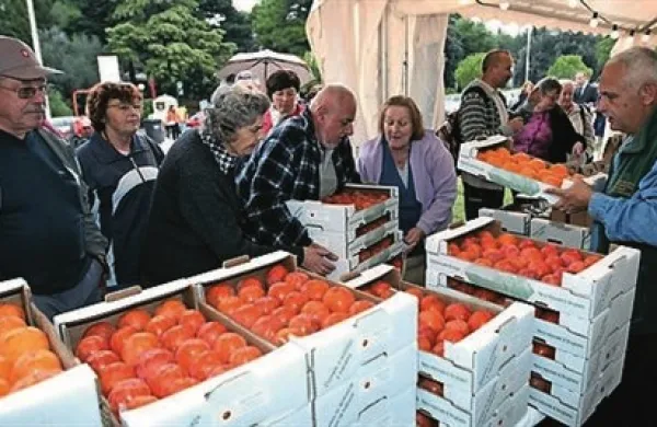 Zanimanje za praznik iz leta v leto narašča, prav tako prodaja kakijev