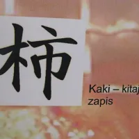 Kaki je na Kitajskem rasel že pred 2000 leti. Na razstavi v Strunjanu so pokazali tudi, kako se kaki napiše v kitajščini. 