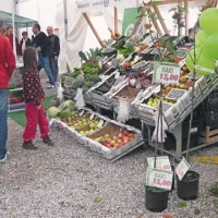 Na tržnici ponujajo tudi druge pridelke in sadike kakijev
