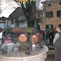 Vrhpolje