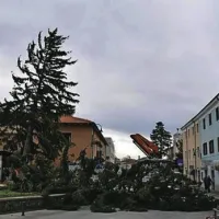 Buje