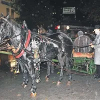 Vinoljubi imajo danes praznik