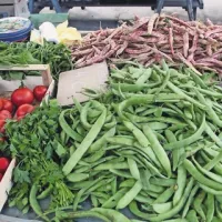 Jeseni in pozimi moramo uživati veliko zelenjave in sadja
