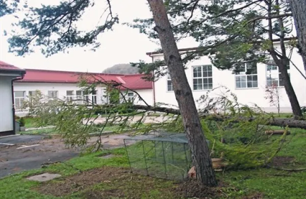 Za stavbo šole v Podgori je burja polomila več smrek