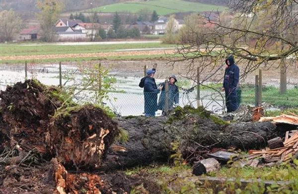 Pri Novem Marofu je kostanj pod seboj pokopal 46-letnega domačina