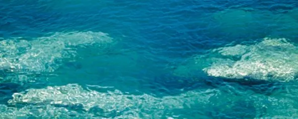 So sli&scaron;ali, kako buči morje oceansko?