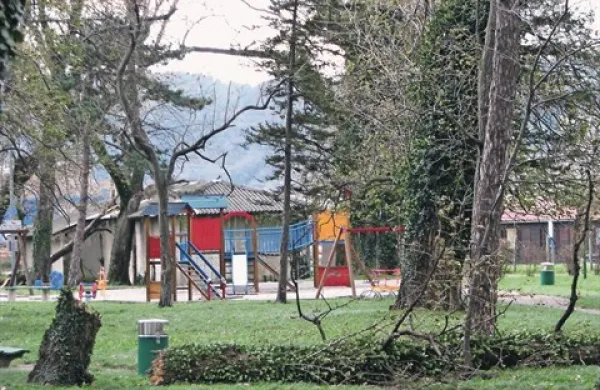 Oslabljeni topoli v parku Šturje niso več kos burji, park potrebuje novo zasaditev