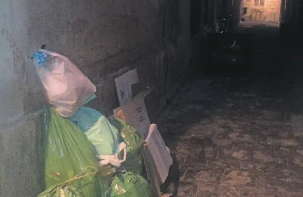 Odpadki so tudi pozimi vir hrane škodljivcem 
