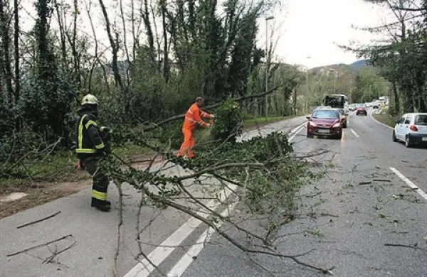 Močan veter je 11. novembra v gozdovih na Goriškem in Ajdovskem, na območju Julijskih Alp, Karavank, Kamniško-Savinjskih Alp in južnega Pohorja, na jugozahodnem pobočju Snežnika ter v Škofjeloškem hribovju in Posavskem hribovju na prehodu v Dolenjsko