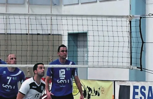 Salonit po zlatem nizu