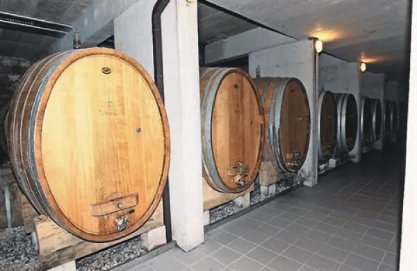 V lasti Kemiplasa in Enverja Moralića je tudi posestvo in vinska klet Brič.  Oktobra 2011 je oprema kleti skoraj  končala na dražbi. Lani pa je družba Brič poslovala z 1,6 milijona evrov dobička. 