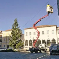 Na koprskem Titovem trgu so včeraj postavili smreko in namestili lučke