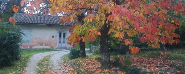 Pretekli teden so, še posebej v višjih predelih,  prevladovale temperature, običajne za mesec maj