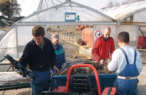 Delavci te dni čistijo in urejajo rastlinjake na Purisimi, v katerih naj bi prihodnjo pomlad v sodelovanju z Univerzitetnim inkubatorjem Primorske zaživela pilotska šola ekološkega kmetovanja
